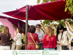 Festival Mar de Tethys 2026 - Bodega Vetas